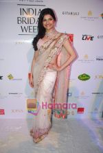 Prachi desai at Aamby Valley India Bridal week DAY 3-1 on 31st Oct 2010 (12).JPG